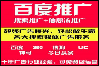 谷歌SEM与移动端优化：某APP的推广策略及效果
